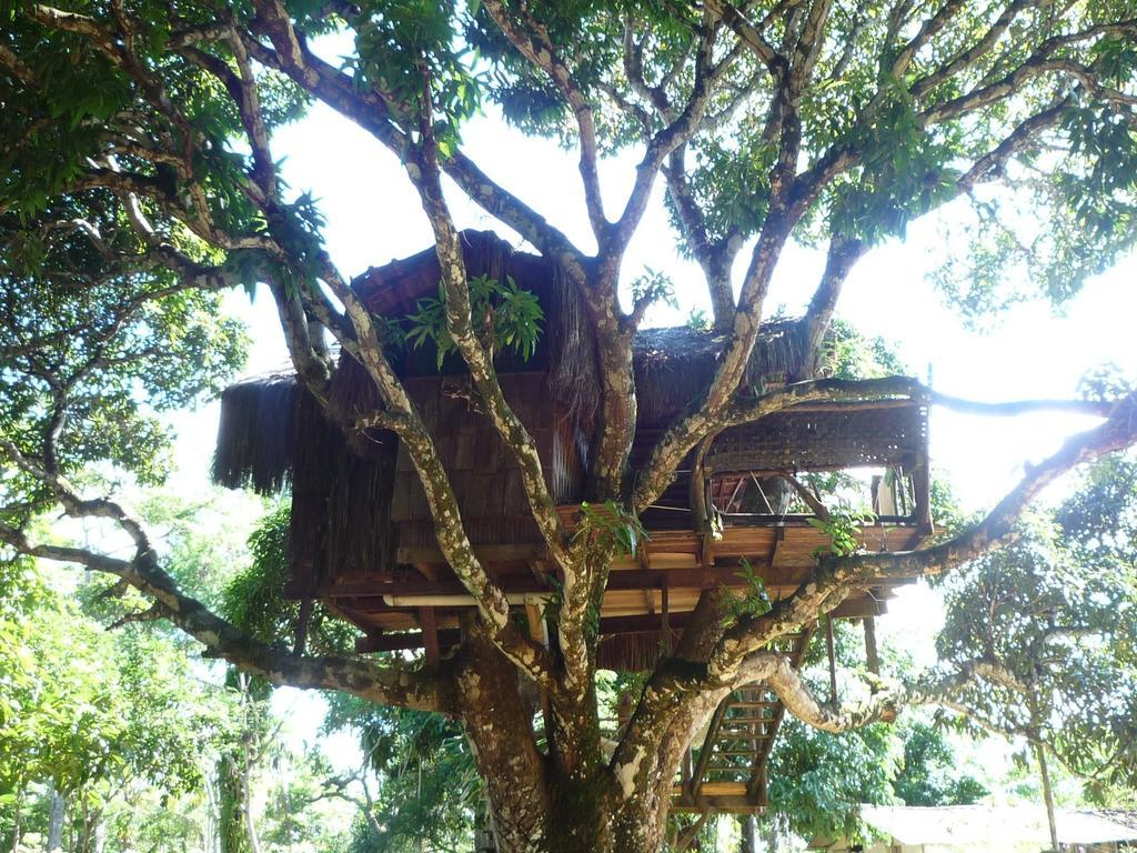 Hotel Art Jungle Itacaré Exterior foto