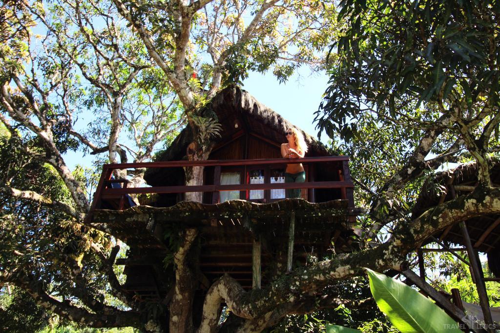 Hotel Art Jungle Itacaré Exterior foto