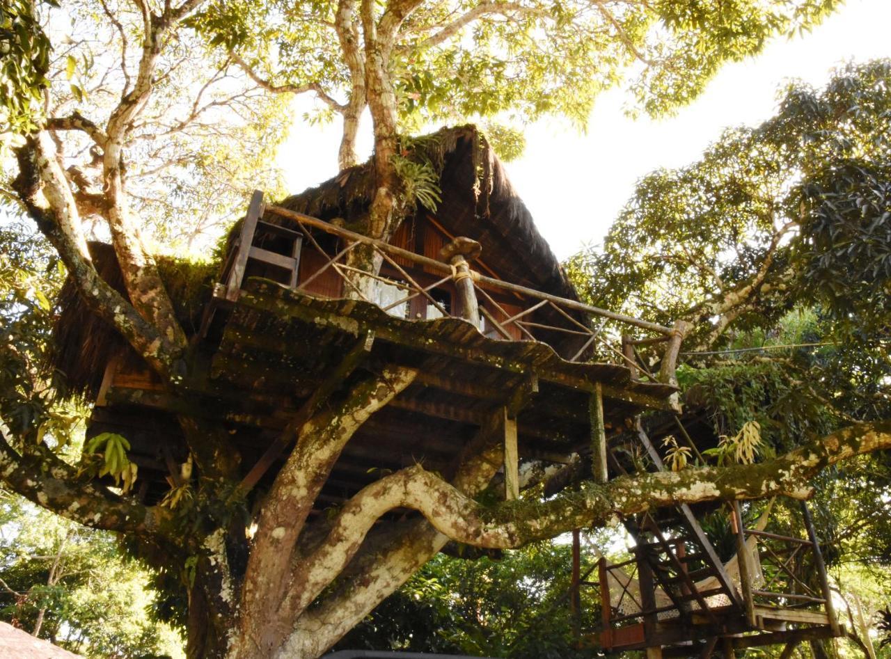 Hotel Art Jungle Itacaré Exterior foto