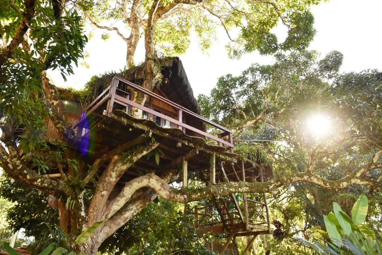 Hotel Art Jungle Itacaré Exterior foto